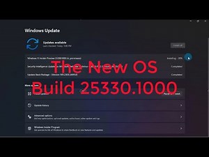 The New Windows 11 OS Build 25330