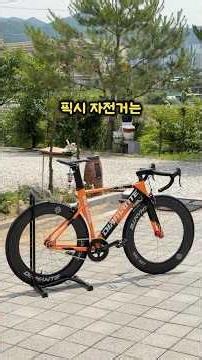 Recommended Safe Fixie Bike! / Diamante Cycle Big Bang