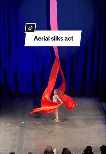 Stunning Aerial Silks Performance at Ottawa Circus Festival