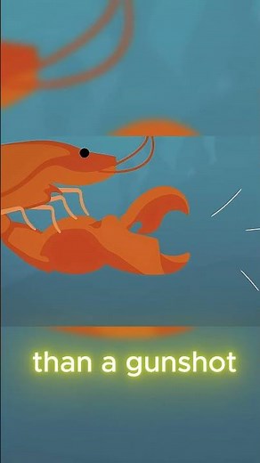Pistol Shrimp: The Tiny Animal That Creates Explosions 💥🦐 | Unbelievable Facts