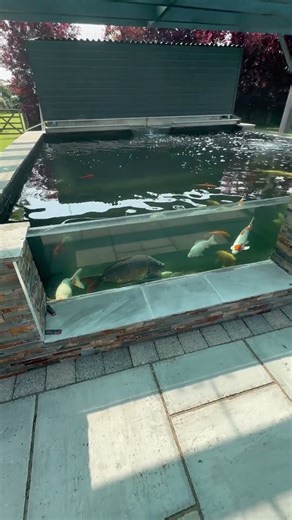 4x window installed & fibreglass to 6000 Gallon pond #ponds