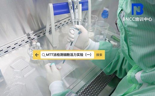 MTT法检测细胞活力实验（一）