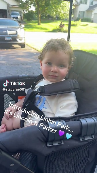 Stacy Vojacek (@stacyrae001)’s videos with In the End - Linkin Park