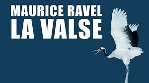 11 reactions | Jeudi 15 septembre, l’Orchestre National de France...