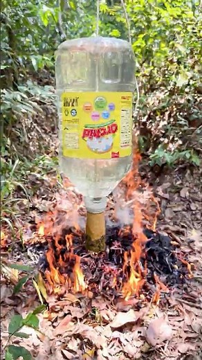 Survival Water Hacks for Emergency Situation in the Wild