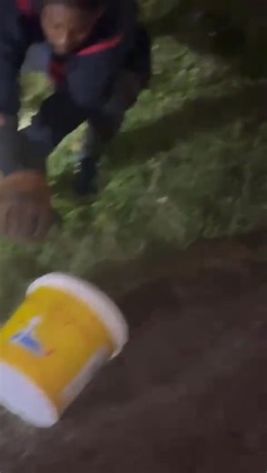 Un python retrouvé à Morne-à-l'eau Un python royal a été retrouvé à Morne-à-l'Eau ce samedi 19 avril, en divagation par des riverains. Ce n'est pas le premier spécimen retrouvé dans l'archipel au cours de ces dernières années. Barbara Pelmard • Publié le 19 avril 2025 à 09h19, mis à jour le 19 avril 2025 à 11h55 Un nouveau reptile a fait son apparition dans les rues de l'archipel ce samedi matin. C'est en pleine nature, chemin de la carrière, à Morne-à-l'eau qu'un python royal, a été découvert p