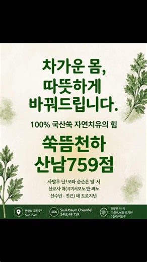 쑥뜸과 면역력의 놀라운 관계! # 쑥뜸천하#강화사자발쑥# 천연황토도기