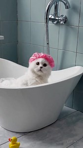 64K views · 29 reactions | Purple Milka cow really exist | Rick Lax | Facebook