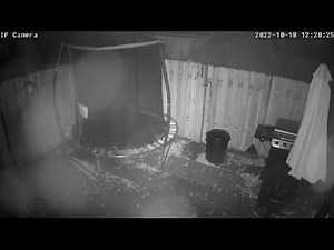 Mysterious Creature Caught On Security Camera! (Backyard Monster)