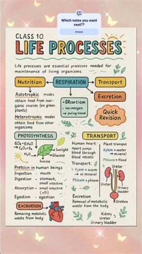 Life Processes | Class 10 Science in just 15 Seconds 🔬 | One page notes