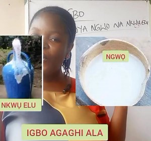 15K views · 605 reactions | I BET YOU DON'T KNOW THE DIFFERENCE BETWEEN THESE TWO PALM WINE(NKWỤ ELU AND NGWỌ) | Igbo agaghi àlà | Facebook