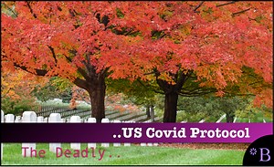 How The US Covid Treatment Protocol Maximized Hospital Admissions and Deaths - Brightwork Research & Analysis
