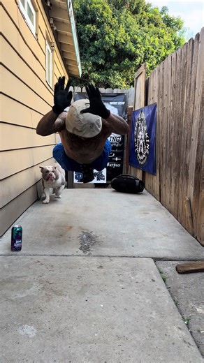 Yeah #yeah #fyp #foryoupage #tiktok #followforfollowback @Gorilla Energy