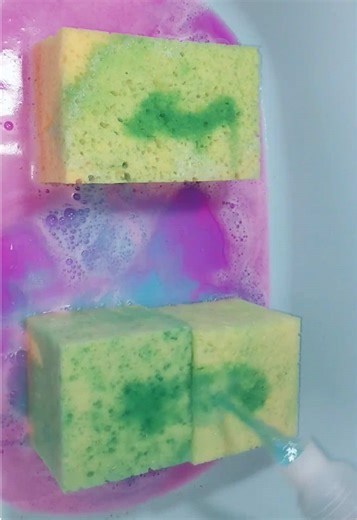 Breaking In New Sponges: A Satisfying Experience