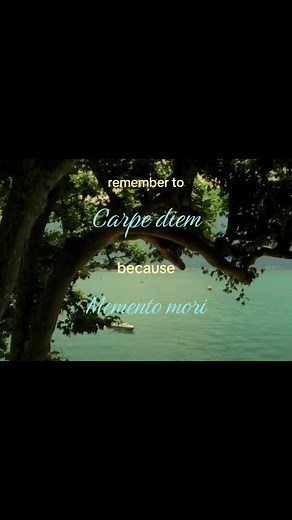 Carpe Diem: Embrace the Moment with Everyday Wisdom