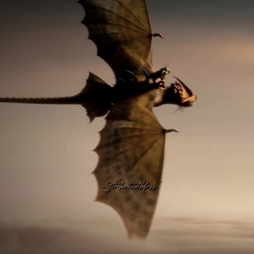 Hope you like it #dreamworks #httyd #toothless #nightfury #lightfury #cloudjumperdragon #stormcutterdragon #valka #stormflydragon #bewilderbeast #dragons #viral #fyp