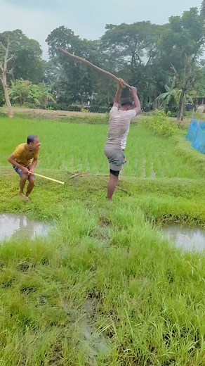 MD Foysal Mondol on Instagram: "#instagram"