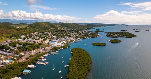 Guide to Experiencing Puerto Rico's Three Bioluminescent Bays