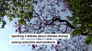 35 reactions | Every spring, the streets of Mexico's capital are painted purple with the flowering of thousands of jacaranda trees, but this year jacarandas began blooming in early January when they normally awaken in spring, scientists blame climate change https://reut.rs/48xEqcz | Reuters | Facebook