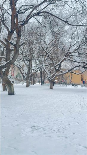 While in beketer park #budapesthungary