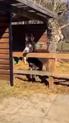 🎉 Claim your FREE Personalised Name Labels for ‘F or T’ Names Today. Choose from Disney, Pixar, Marvel & Star Wars Name Labels for your child. Frankie, Trang, Felicity, Tabitha, Toby… fantastic news for you! 🌟 If your child’s name starts with ‘F’ or ‘T’, you can grab a FREE* set of 30 personalised name labels featuring officially licensed characters they’ll adore! 🏰✨ These labels aren’t just fun; they’re made to last! 🏆 Dishwasher, FREE*zer, microwave, and steriliser safe, they’re perfect fo