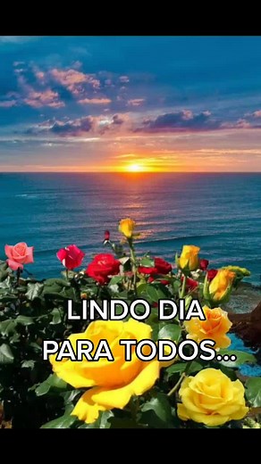 Videos de Ester italiani (@esteritalianideprovincia) con “Spring Rain (Single Version) - Silvetti”