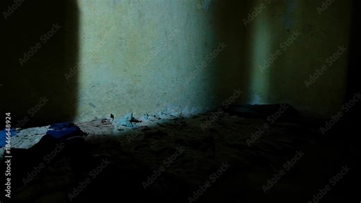 An old jail cell, with the door closing and opening, showing the small cell, and the shadows casting by the door. the floor is covered by a cloth rug. a slow motion clip.