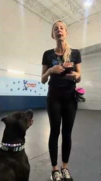 The secret to teaching your dog to COME