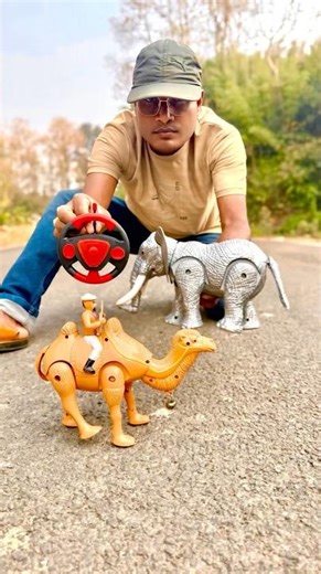 Rc Remote Control 1 Camel 🐪 And 1 Elephant 🐘 unboxing