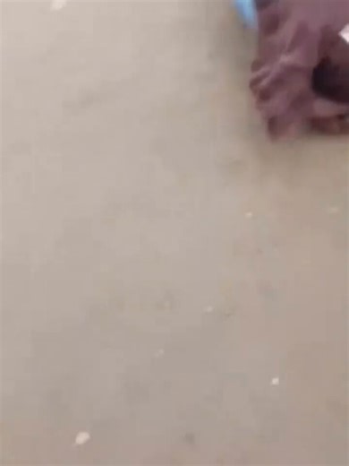 His name was Mene Ogidi. Twenty-eight years old. From Effurun, Delta State. South-South Nigeria. Urhobo country.He was kneeling. His hands were tied. He was begging. "Officer, I beg. I will tell you everything. I will carry you go the place."The officer shot him in the leg. He kept begging.Then the officer reloaded the gun and shot him again, at close range, and killed him.The officer's name is ASP Nuhu Usman.Nuhu Usman is not from Delta State. Nuhu Usman is not from the South-South. Nuhu Usman 