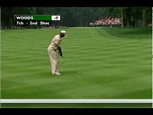 Tiger Woods 2006 5 wood