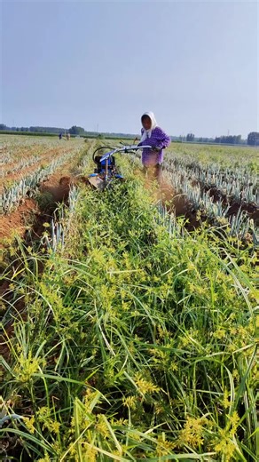 Mini Tiller & Micro Cultivator for Small Farms