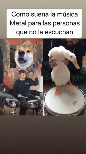 994K views · 16K reactions | 藍藍藍藍 | 푽풐풍풄풂풏풐 푹풂풅풊풐풔풉풐풘 | Facebook