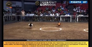 WPC Pitmaster Highlights 4.0 on Reels