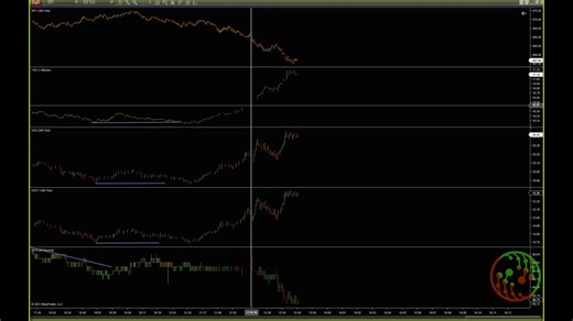订单流Bookmap-TTW网络研讨课（三）