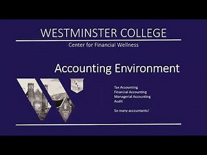 Accounting Environment