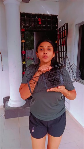 Smart Kitchen Storage Solutions