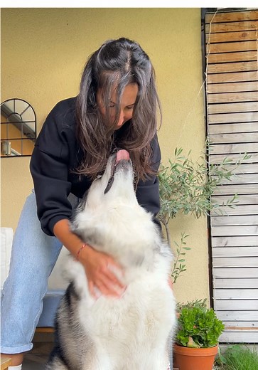 Understanding My Love for Dogs