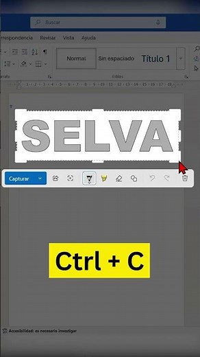 WORD: Insertar Una Imagen En Un Texto