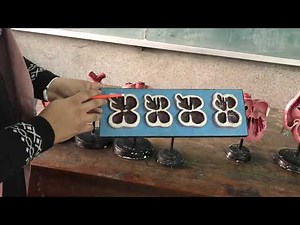 Development of heart explained through models