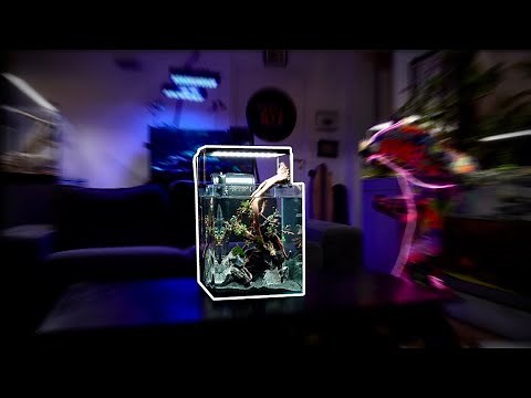 AN EASY AQUARIUM WHEN YOU HAVE NO SPACE!? -TOOPET
