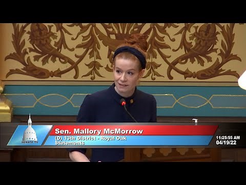 WATCH: Michigan lawmaker says, ‘We will not let hate win’
