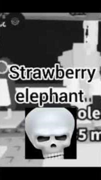 editor ‪@dibusu‬ ✌️💜