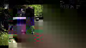 Ici au parc, nous participons à la conservation de ce papillon en laissant des zones intactes et en cultivant l’asclépiade, une plante essentielle pour le monarque pendant toutes ses étapes de transformation. Ce qui rend ce papillon si unique dans le monde des insectes, c’est qu’il effectue une longue migration pouvant atteindre près de 5000 km aller-retour. 🦋 Apprenez-en davantage sur ce magnifique insecte grâce au sentier d’interprétation que nous avons développé à la zone 11 et venez-nous vo