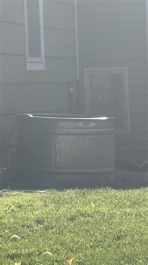 6.7K views · 823 reactions | Salinger always cracking me up  #gsd #dog #dunk #silly | Ten Shakes of Grace | Facebook