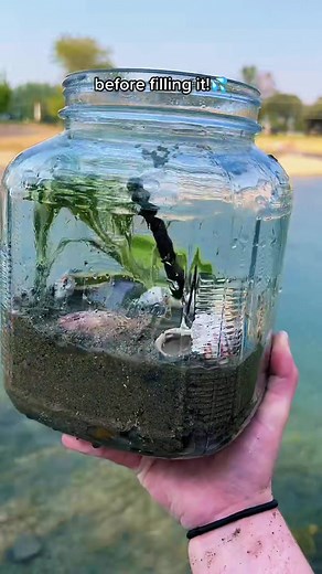 DIY Ecosystem in a Jar: Step-by-Step Guide