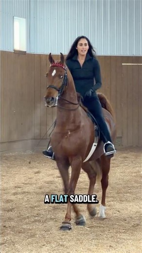 Enjoy your horse and the process! Juliette Dell and homebred All Bravado.