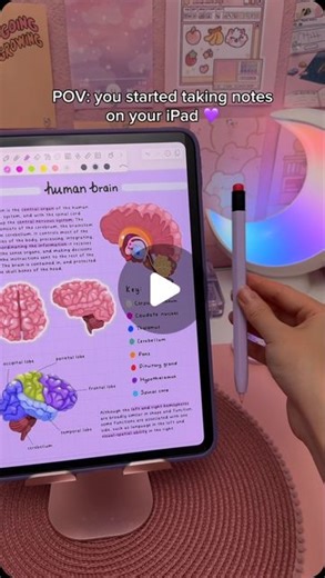 digital planner | goodnotes on Instagram: "iPad note taking in purple 💜 I’m using Notability app on iPad pro with the apple pencil ✏️⁣ ⁣⁣ 🏷️ #ipad #ipadnotes #ipadnotetaking #applepencil #digitalnotes #digitalnotetaking #digitalplanner #digitalplanning #notetaking #studynotes #aestheticnotes #ipadpro #studygram #notability @notabilityapp"