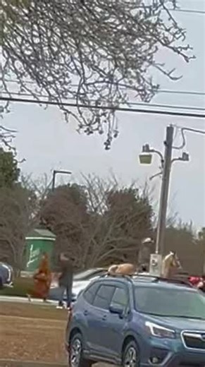 B-Diz Magic Travel (@bdizmagictravel)’s videos with Shaolin Monks - Derek Fiechter & Brandon Fiechter