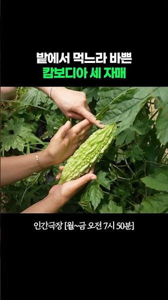 A Little Cambodia Encountered in Mungyeong #HumanTheater | Broadcast on 08/07/26 KBS